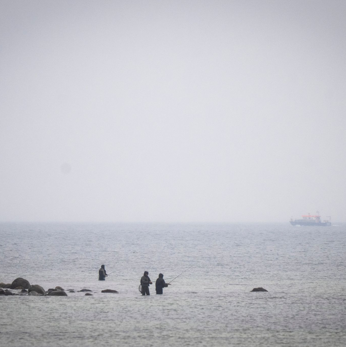 Das Boot «Uecker» von der Wasserschutzpolizei sucht den Wal an der Ostseeküste.  - Foto: Philip Dulian/dpa