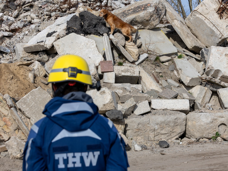 THW LVBEBBST: THW veranstaltet in Berlin erstes bundesweites Rettungshundetreffen - Foto: presseportal.de