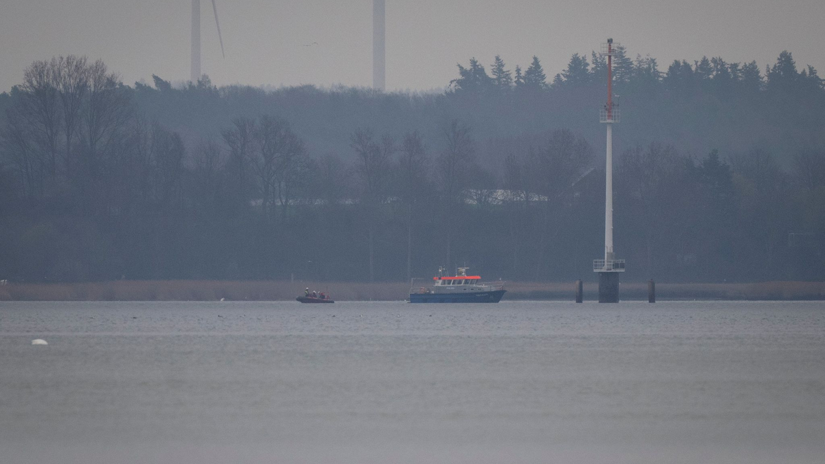 Umweltschützer und Einsatzkräfte der Wasserschutzpolizei waren am Samstag mit Booten auf der Ostsee unterwegs.  - Foto: Philip Dulian/dpa