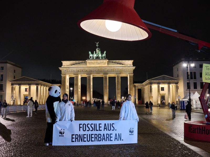 Auch am Brandenburger Tor gingen die Lichter aus. Der WWF wirbt auch dafür, privat Energie zu sparen. Daher wurde eine übergroße Schreibtischlampe aufgebaut und ausgemacht. - Foto: Annette Riedl/dpa