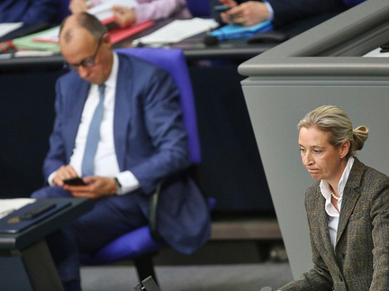 Friedrich Merz und Alice Weidel (Archiv) - Foto: via dts Nachrichtenagentur