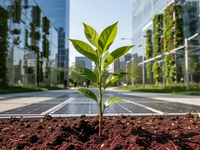 UBS SRI ETF: Fokus Nachhaltigkeit - Foto: über boerse-global.de