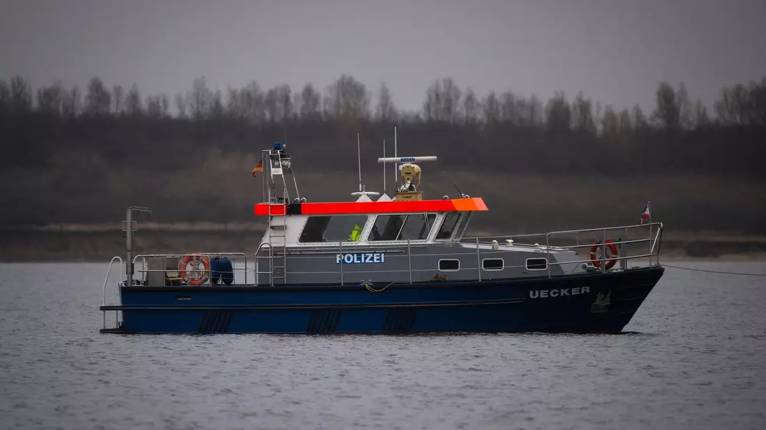 Der Wal wird von der Wasserschutzpolizei begleitet.  - Bild: Philip Dulian/dpa