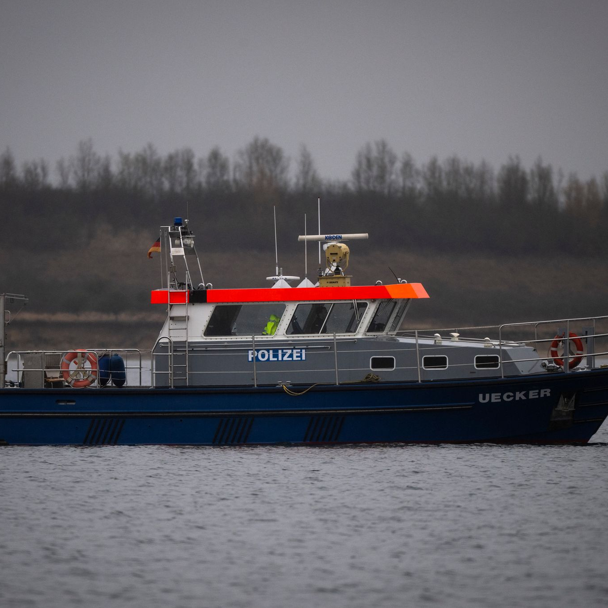 Der Wal wird von der Wasserschutzpolizei begleitet.  - Foto: Philip Dulian/dpa