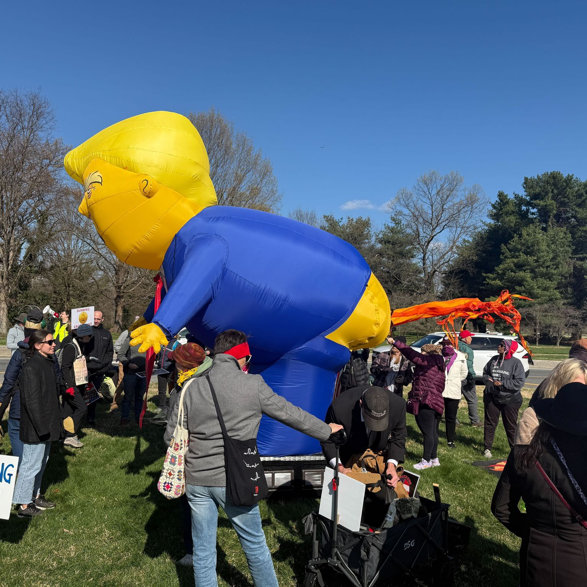 Die Demonstrationen stehen unter dem Motto «No Kings».  - Foto: Anna Ringle/dpa