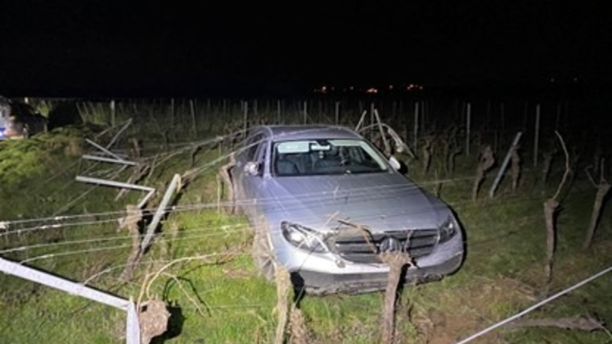 POL-PDLD: Unfallfahrer gesucht - Foto: presseportal.de