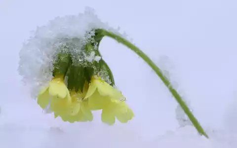 In den höheren Lagen ist weiterhin mit Schneefall zu rechnen. (Symbolbild) - Bild: Karl-Josef Hildenbrand/dpa