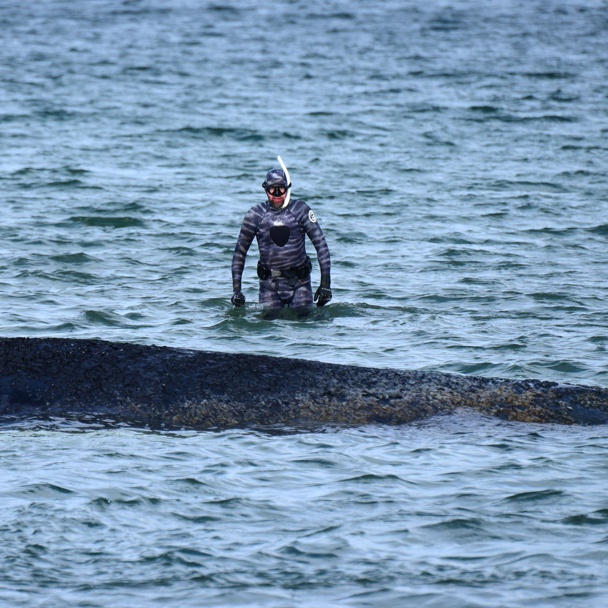 Bei der Rettungsaktion vor Timmendorfer Strand hat Lehmann unterstützt. (Archivbild) - Foto: Daniel Bockwoldt/dpa