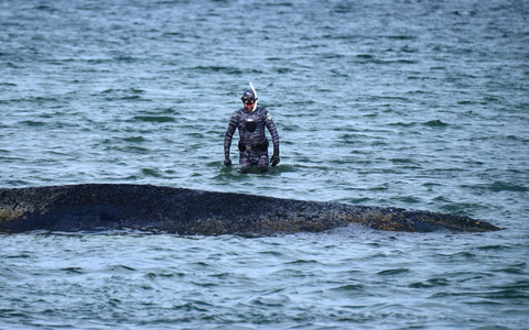 Bei der Rettungsaktion vor Timmendorfer Strand hat Lehmann unterstützt. (Archivbild) - Foto: Daniel Bockwoldt/dpa