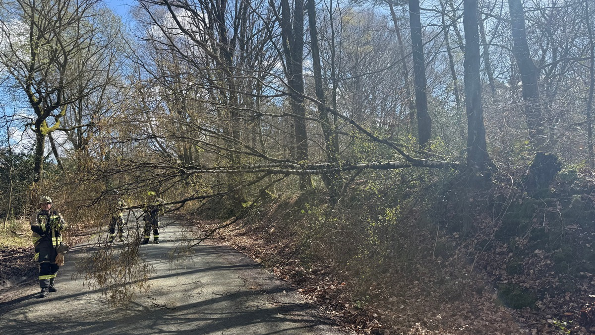 FW Hünxe: Baum blockiert Fahrbahn - Foto: presseportal.de