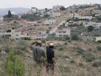 Immer wieder kommt es zu Gewalt israelischer Siedler gegen Palästinenser und ihren Besitz. (Archivbild)  - Foto: Maya Alleruzzo/AP/dpa