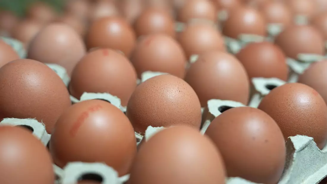 In manchen Lebensmittelläden sind sie gerade Mangelware: Eier. (Symbolbild) - Bild: Marcus Brandt/dpa