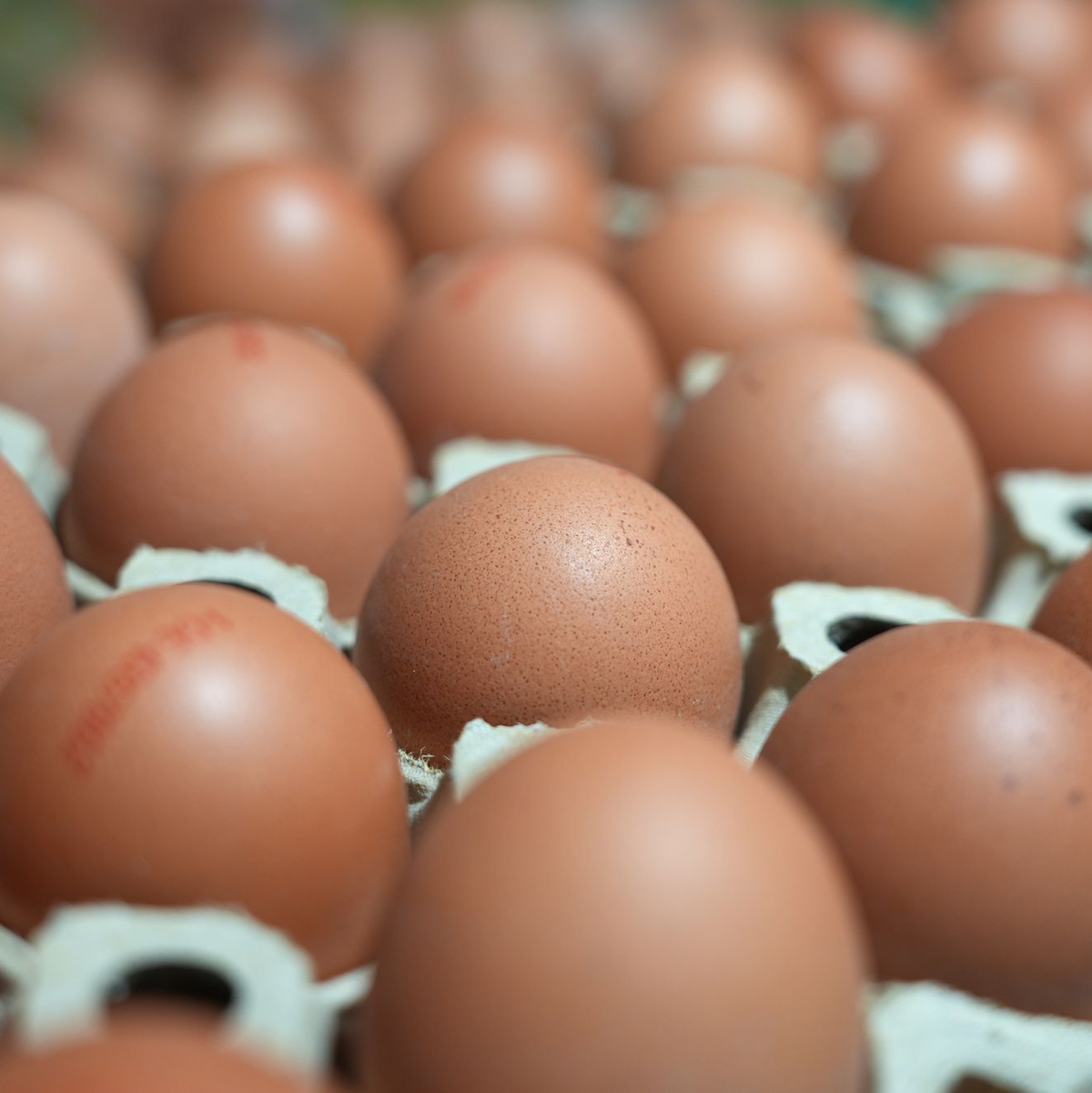 In manchen Lebensmittelläden sind sie gerade Mangelware: Eier. (Symbolbild) - Foto: Marcus Brandt/dpa