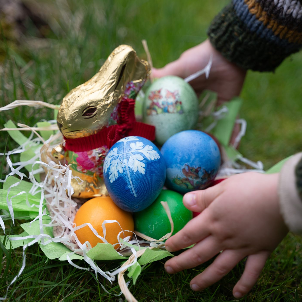 Vor Ostern ist die Nachfrage nach Hühnereiern besonders hoch. (Symbolbild) - Foto: Hendrik Schmidt/dpa