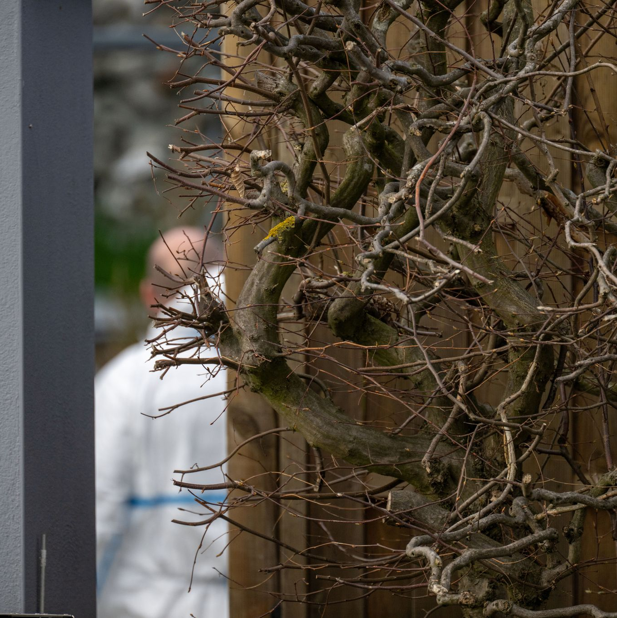 Ermittler waren vor Ort. - Foto: Pia Bayer/dpa