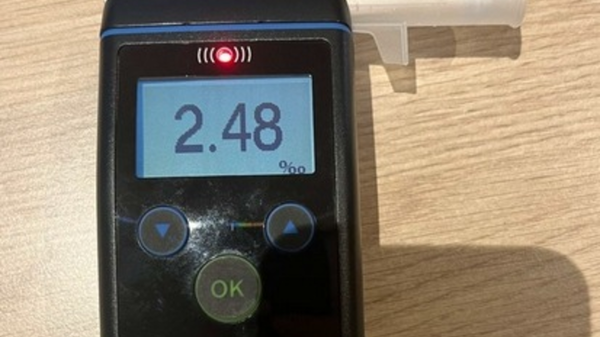 BPOL-FL: Gesuchten Mann verhaftet; Aggressiver Mann im Zug leistet Widerstand - Foto: presseportal.de