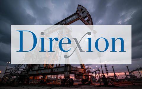 Direxion Energy Bear ETF: Bären-Taktik - Foto: über boerse-global.de