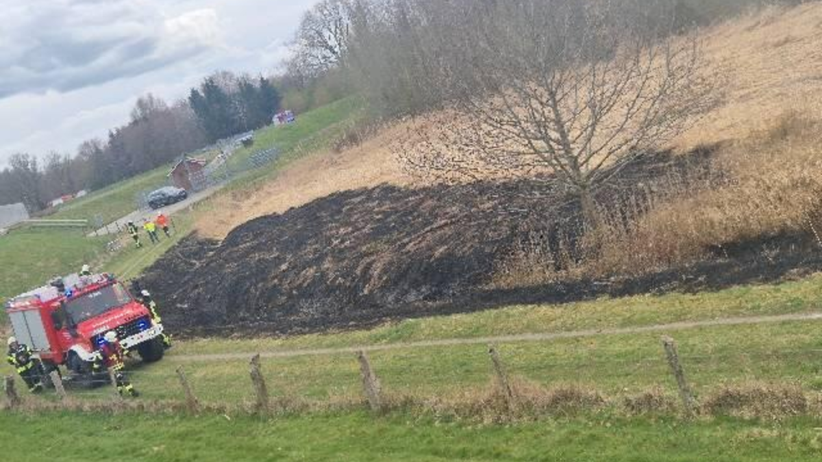 POL-CUX: Zwei Brände im Grünstreifen in kurzem Abstand in Hemmoor - Zeugenaufruf (Foto im Anhang) - Foto: presseportal.de