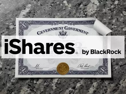 iShares Treasury ETF: Planmäßige Abwicklung - Foto: über boerse-global.de
