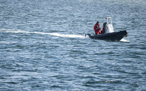 Die Polizei war auf der Ostsee unterwegs, um den Buckelwal zu betreuen.  - Foto: Philip Dulian/dpa