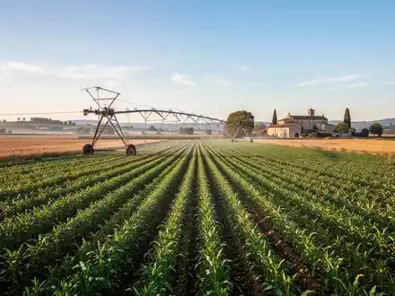EU-Agrarpolitik setzt auf Freiwilligkeit statt Zwang - Foto: über boerse-global.de
