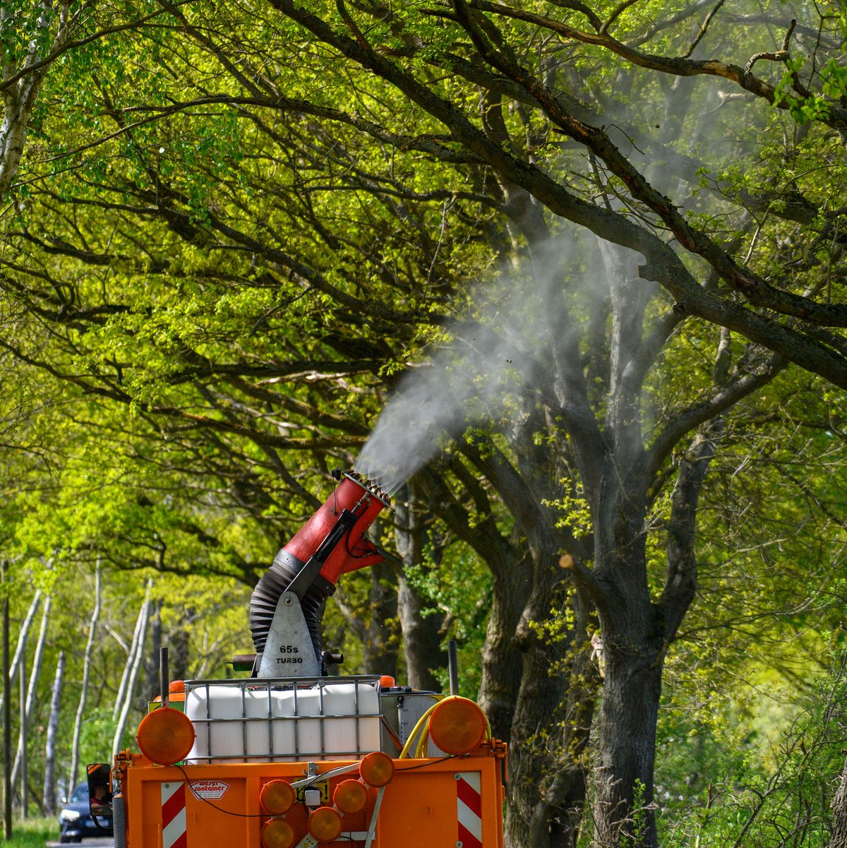 Ein Lastwagen mit einer montierten Sprühkanone bekämpft Eichenprozessionsspinner. - Foto: Klaus-Dietmar Gabbert/dpa