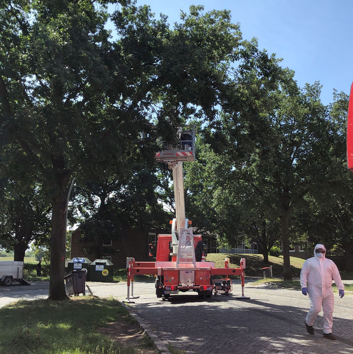 Die Autobahnmeisterei lässt auf dem Rastplatz Stillhorn Ost Nester des Eichenprozessionsspinners von Bäumen absaugen. - Foto: Veronika Boge/-/dpa