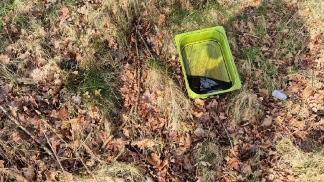 POL-NMS: 260331-1- Zeugen nach unerlaubter Müllentsorgung gesucht - Bild: presseportal.de
