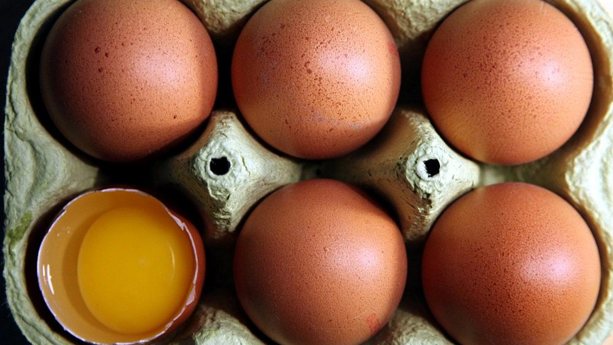 Eier (Archiv) - Foto: via dts Nachrichtenagentur