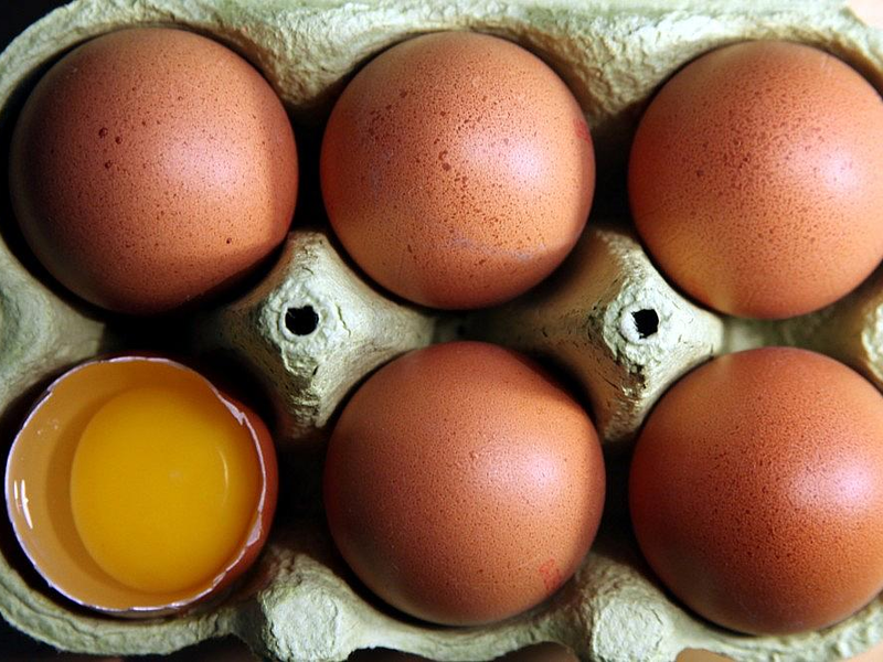 Eier (Archiv) - Foto: via dts Nachrichtenagentur