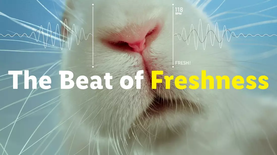 The Beat of Freshness: Lidl stellt Frische im Rahmen einer Kreativ-Aktivierung unter Beweis - Bild: presseportal.de
