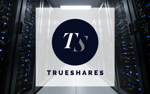 TrueShares AI ETF: Korrektur verschärft - Foto: über boerse-global.de