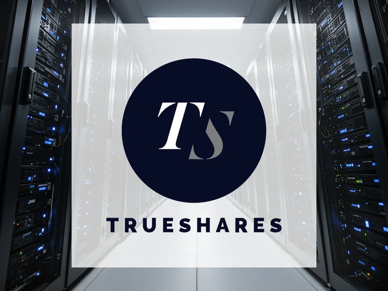 TrueShares AI ETF: Korrektur verschärft - Foto: über boerse-global.de