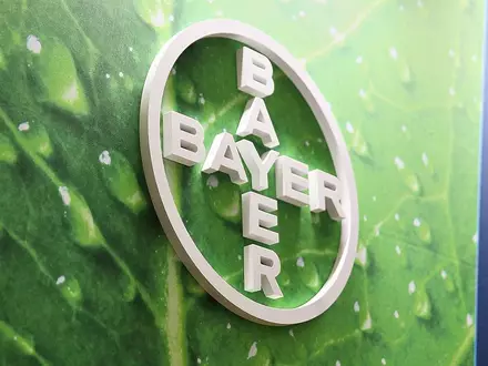 Bayer (Archiv) - Foto: via dts Nachrichtenagentur