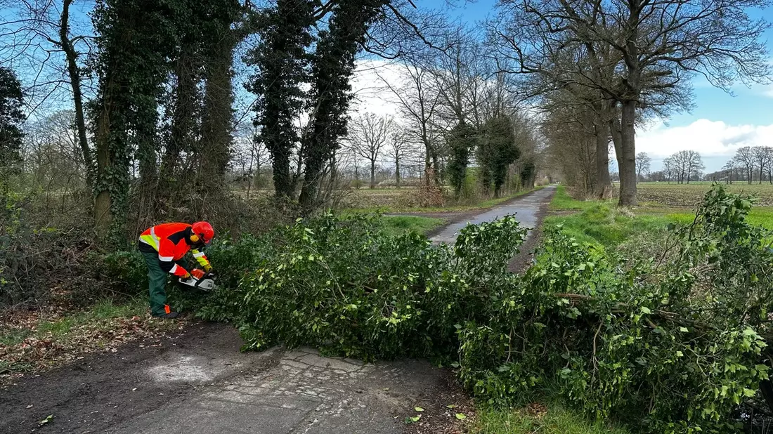 FW-Schermbeck: Baum blockiert Fahrbahn - Bild: presseportal.de