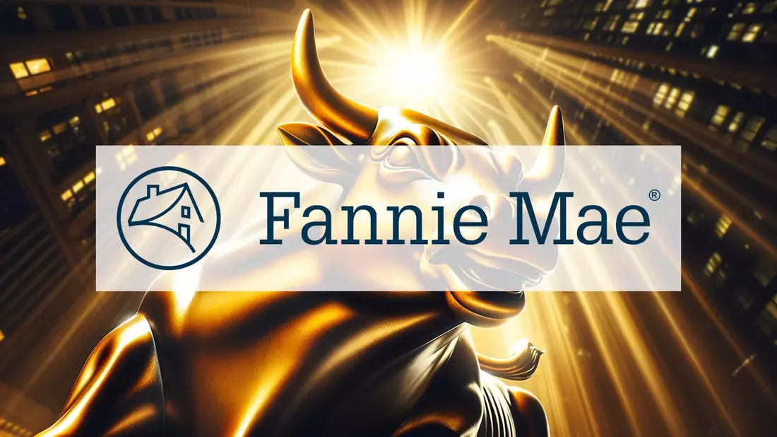 Fannie Mae: Resultados sólidos en un año de divergencia entre analistas - Bild: über boerse-global.de