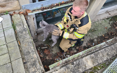 FW-EN: Feuerwehr rettet Katze - Foto: presseportal.de
