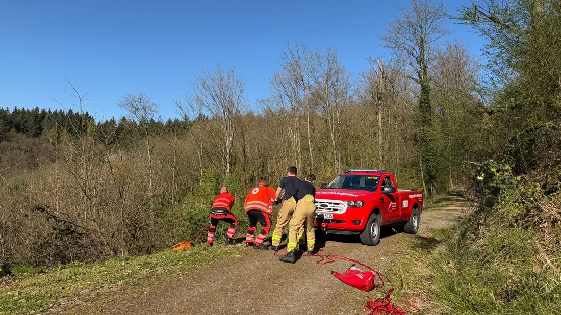 FW Weinheim: Vom Waldweg abgekommen und abgerutscht - Weinheimer Feuerwehr rettet zwei Spaziergänger oberhalb des Funkturms Nächstenbach - Bild: presseportal.de