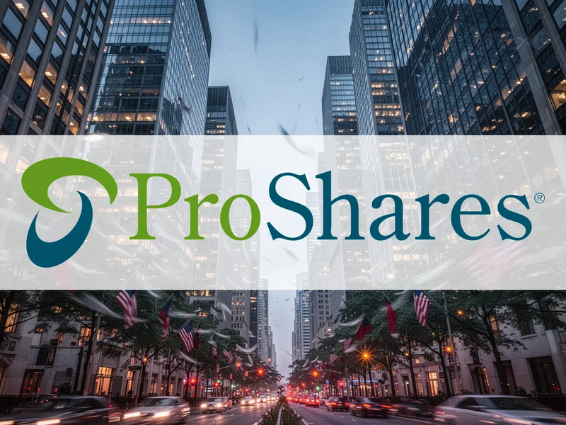 ProShares Short Financials ETF: Gegenwind wird zum Gewinn - Foto: über boerse-global.de