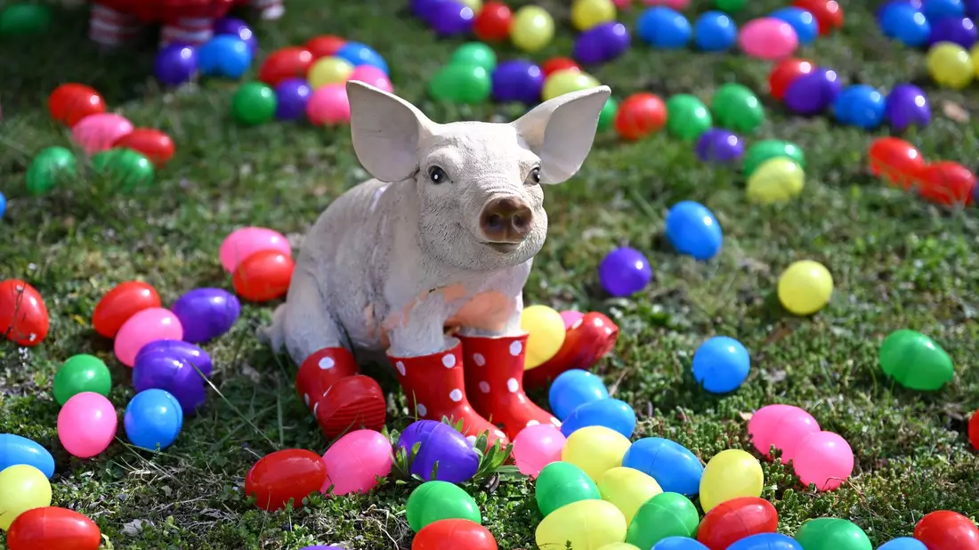 Auch zahlreiche Tiere wie etwa dieses Schwein oder auch eine Giraffe und zahlreiche Affen stehen zwischen den bunten Eiern. - Bild: Elisa Schu/dpa