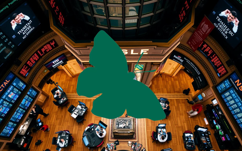 Green Landscaping Aktie: Neue Impulse - Foto: über boerse-global.de