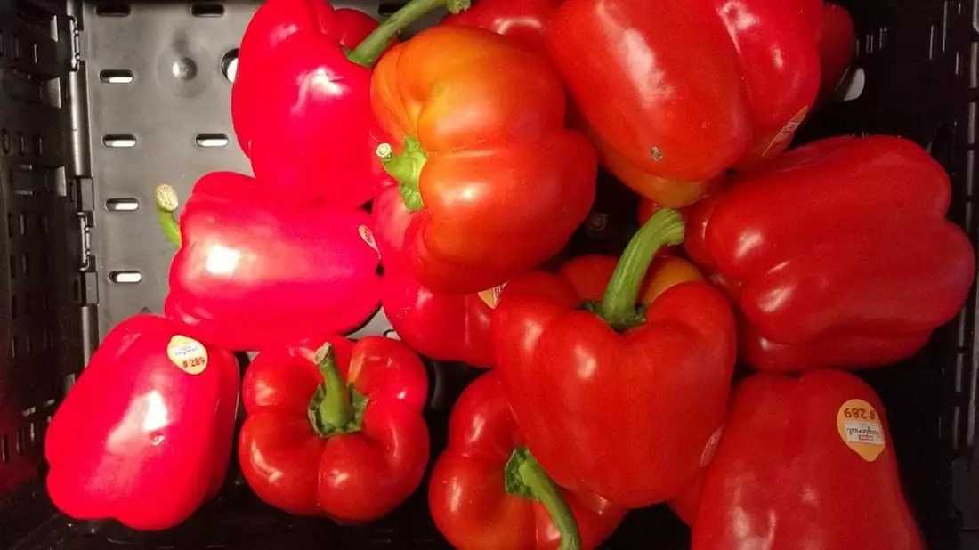 Paprika (Archiv) - Bild: via dts Nachrichtenagentur