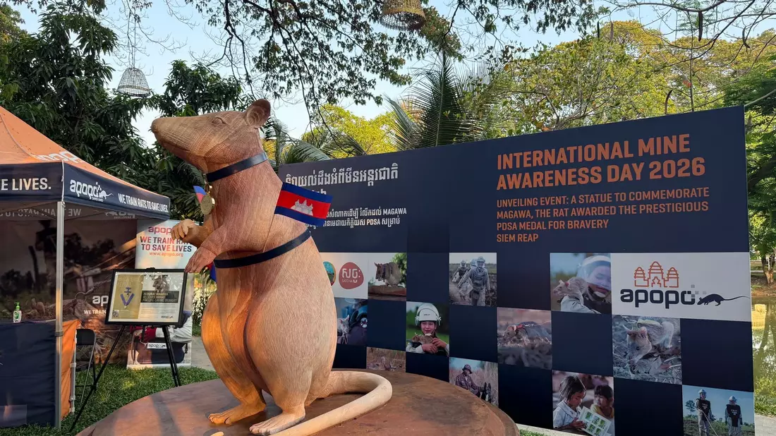 Magawas Denkmal steht im Zentrum der Kleinstadt Siem Reap.  - Bild: Carola Frentzen/dpa