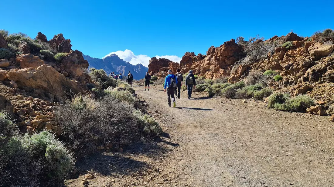 Seit Sommer 2022 wurde ein junger Backpacker aus Niedersachsen auf Teneriffa vermisst, der dort zum Wandern war - nun wurde sein Tod bestätigt. (Symbolbild) - Bild: Roswitha Bruder-Pasewald/dpa-tmn