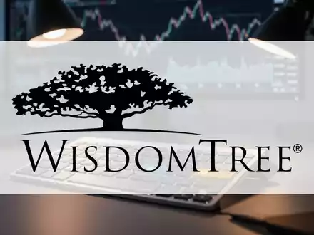 WisdomTree WTPI ETF: Put-Optionen statt Aktien - Foto: über boerse-global.de