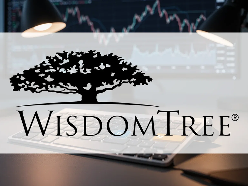 WisdomTree WTPI ETF: Put-Optionen statt Aktien - Foto: über boerse-global.de