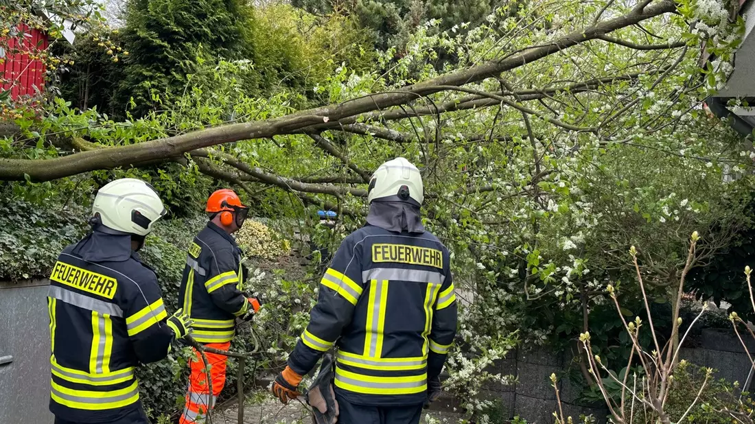 FW-EN: Baum auf Wohnhaus - Bild: presseportal.de
