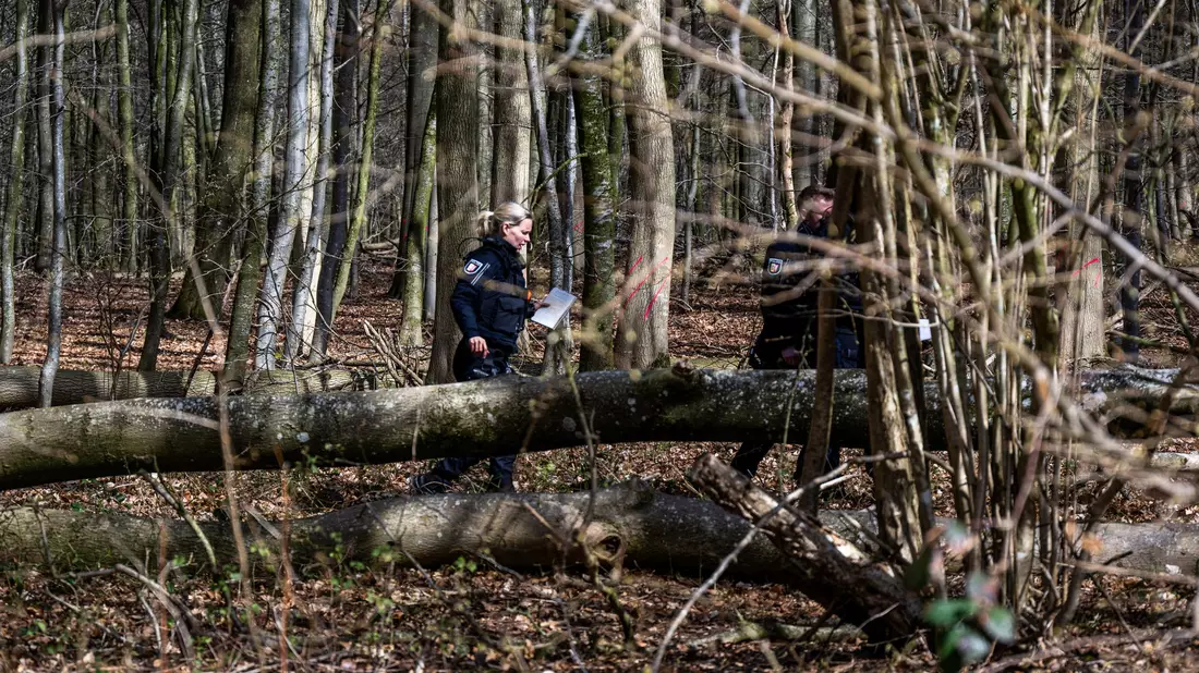 Durch einen umgestürzten Baum sind bei Flensburg drei Menschen ums Leben gekommen. - Bild: Benjamin Nolte/dpa