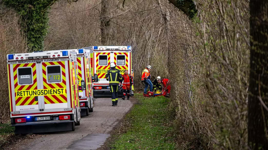 Drei Menschen sterben in einem Waldstück südöstlich von Flensburg. - Bild: Benjamin Nolte/dpa