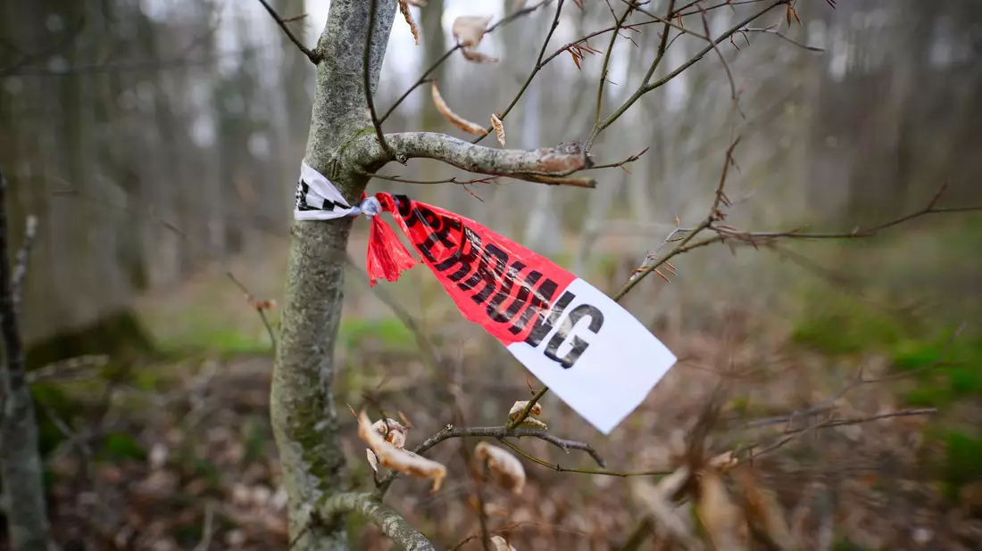 Reste einer Polizeiabsperrung sind in dem betroffenen Waldstück zu sehen. - Bild: Daniel Reinhardt/dpa